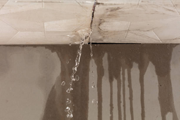 Professional Structural Drying technician working in Diamond, IL